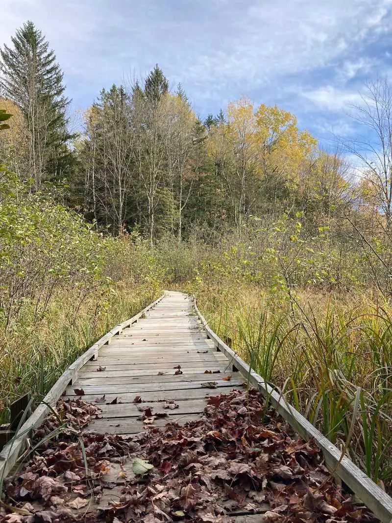 Ice Age Trail Lake Eleven Segment, Medford, Taylor County