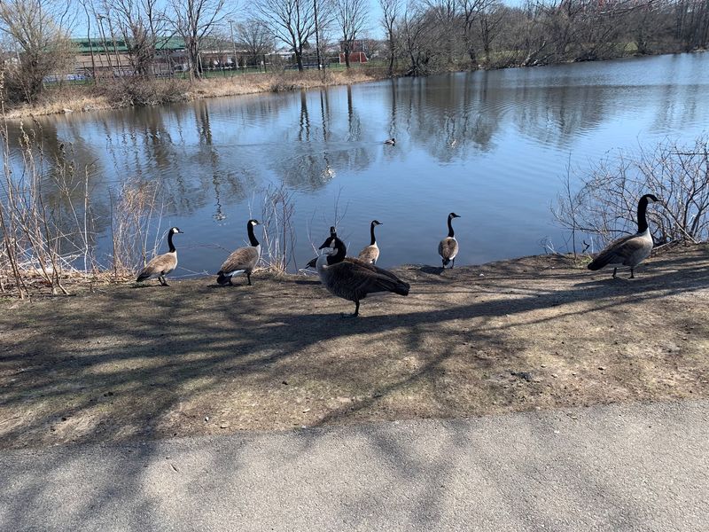 Quequechan River Rail Trail - Fall River