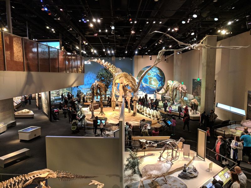 Perot Museum of Nature and Science - Dallas