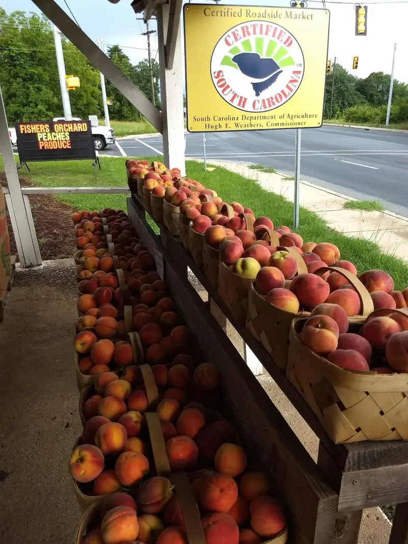 Fishers Orchard - Greer