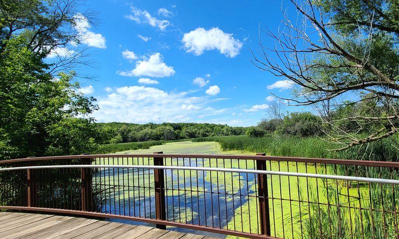 Wetland Boardwalk Trail - Lake Kegonsa State Park, Stoughton