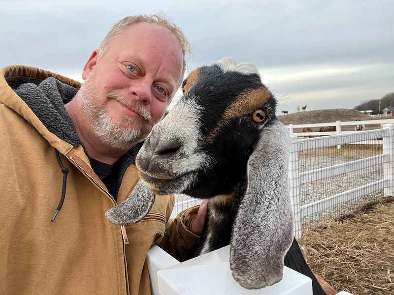 Get Up Close With Friendly Farm Animals