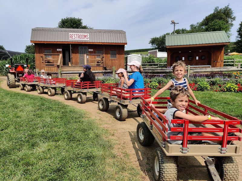 Climb Aboard a Wagon