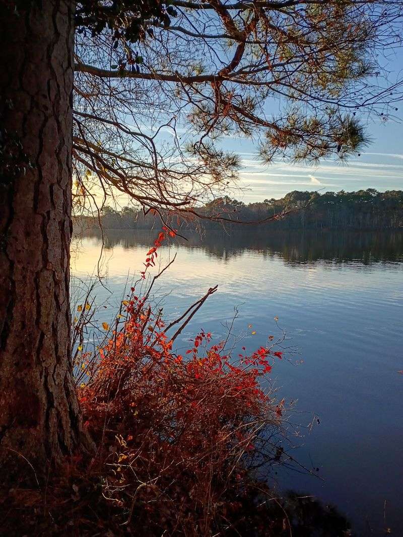 Paddle Into the Quiet Groves