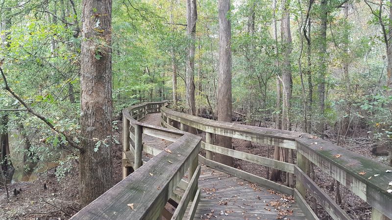 Follow the Boardwalk Toward the River