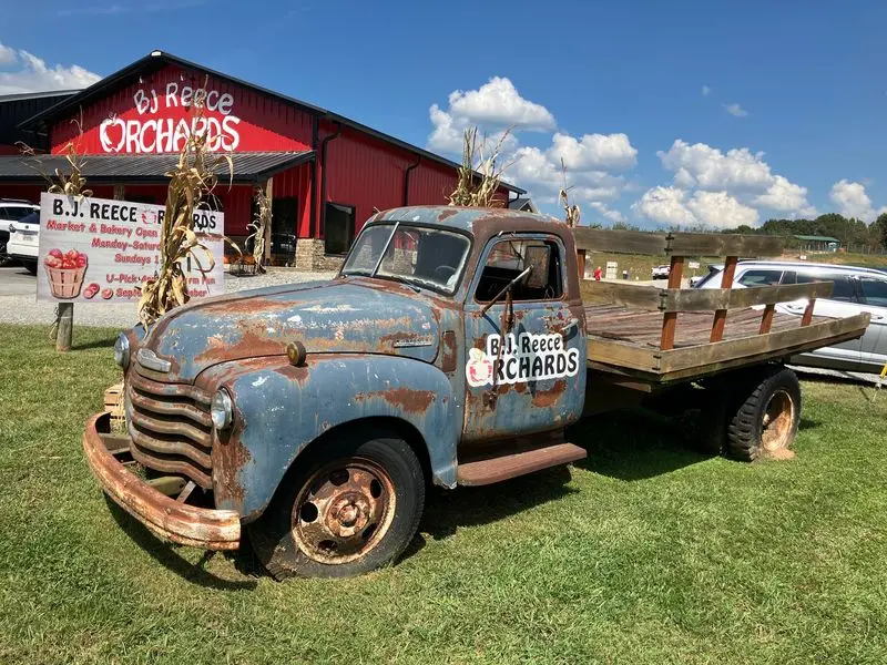 B.J. Reece Orchards - Ellijay
