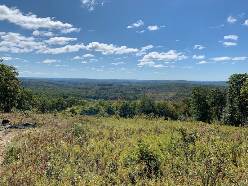 Mohawk Trail at Mohawk Mountain State Forest