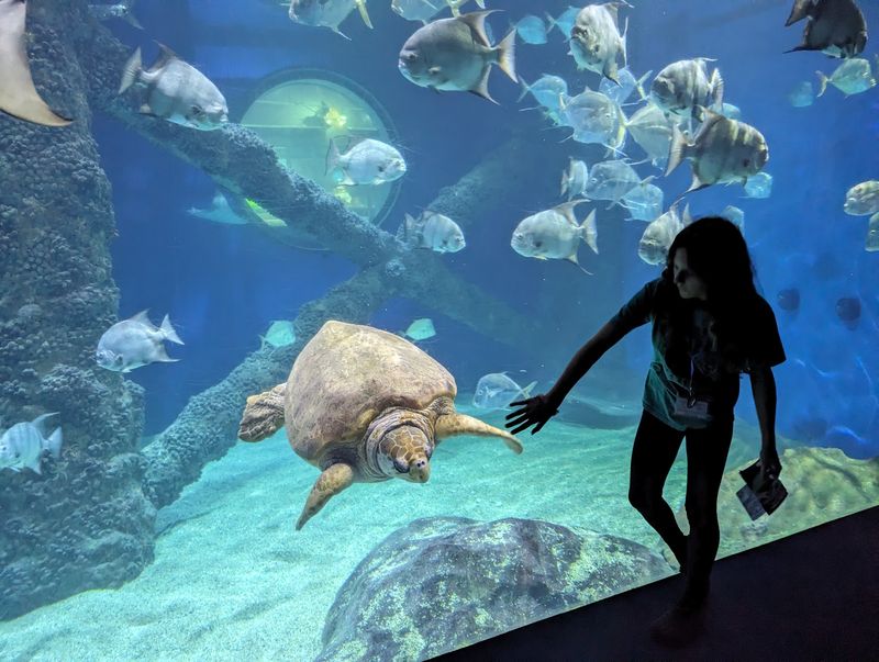 Virginia Aquarium and Marine Science Center in Virginia Beach, Virginia Beach city