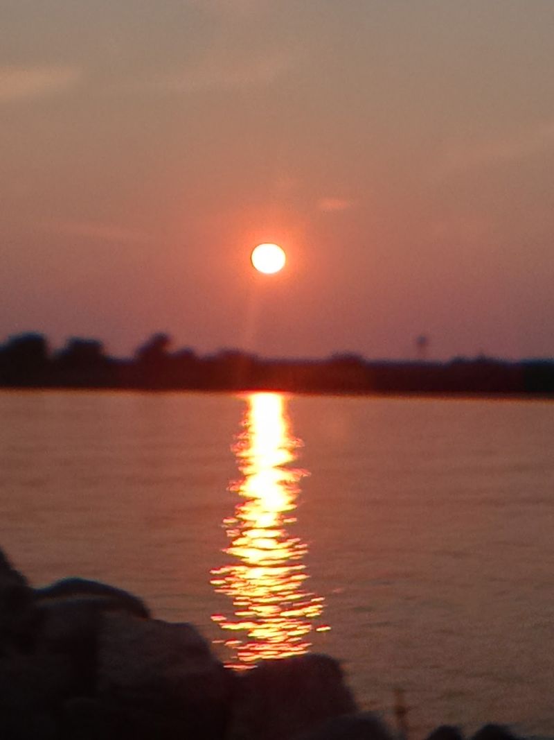 Augustine Wildlife Area in Port Penn, New Castle County,