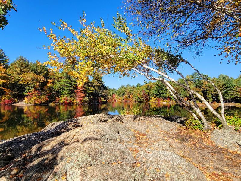 Breakheart Reservation - Saugus