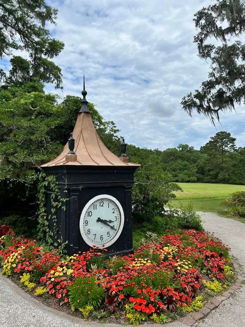 Magnolia Plantation and Gardens, Charleston, Charleston County