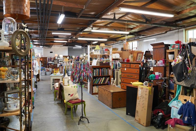 Color, Curiosity, and Comfort at Flea At 99