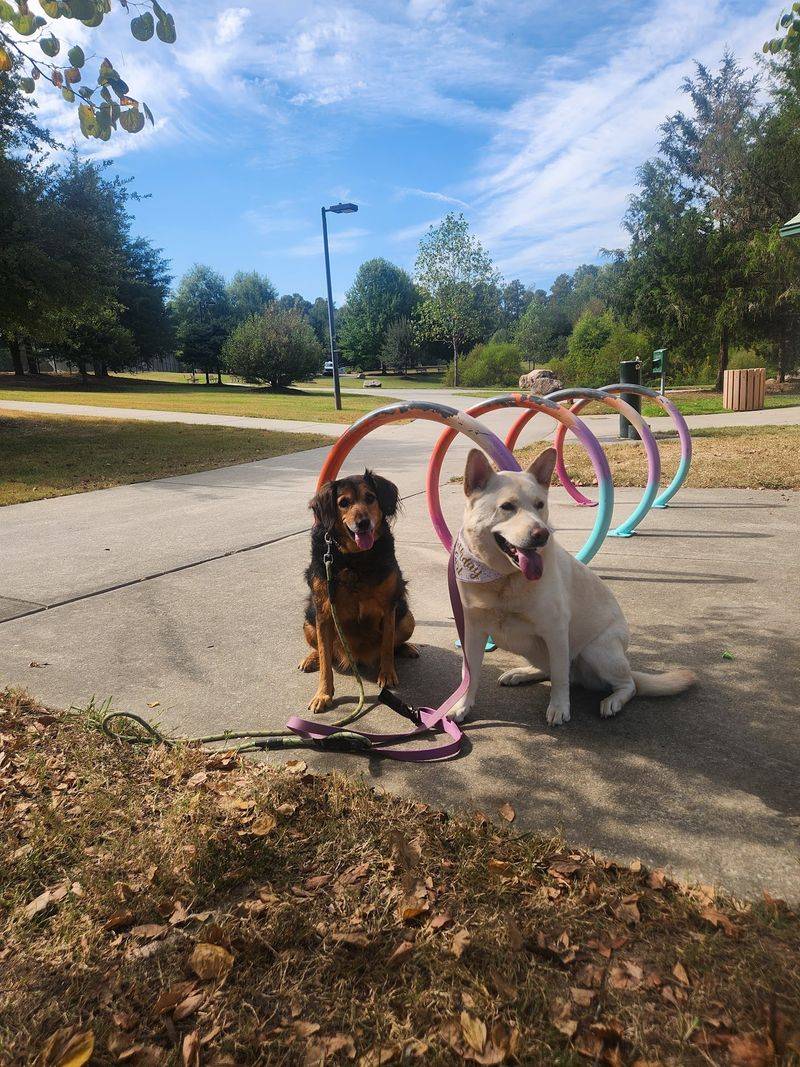 Dog Park at Southern Community Park in Chapel Hill, Orange County,