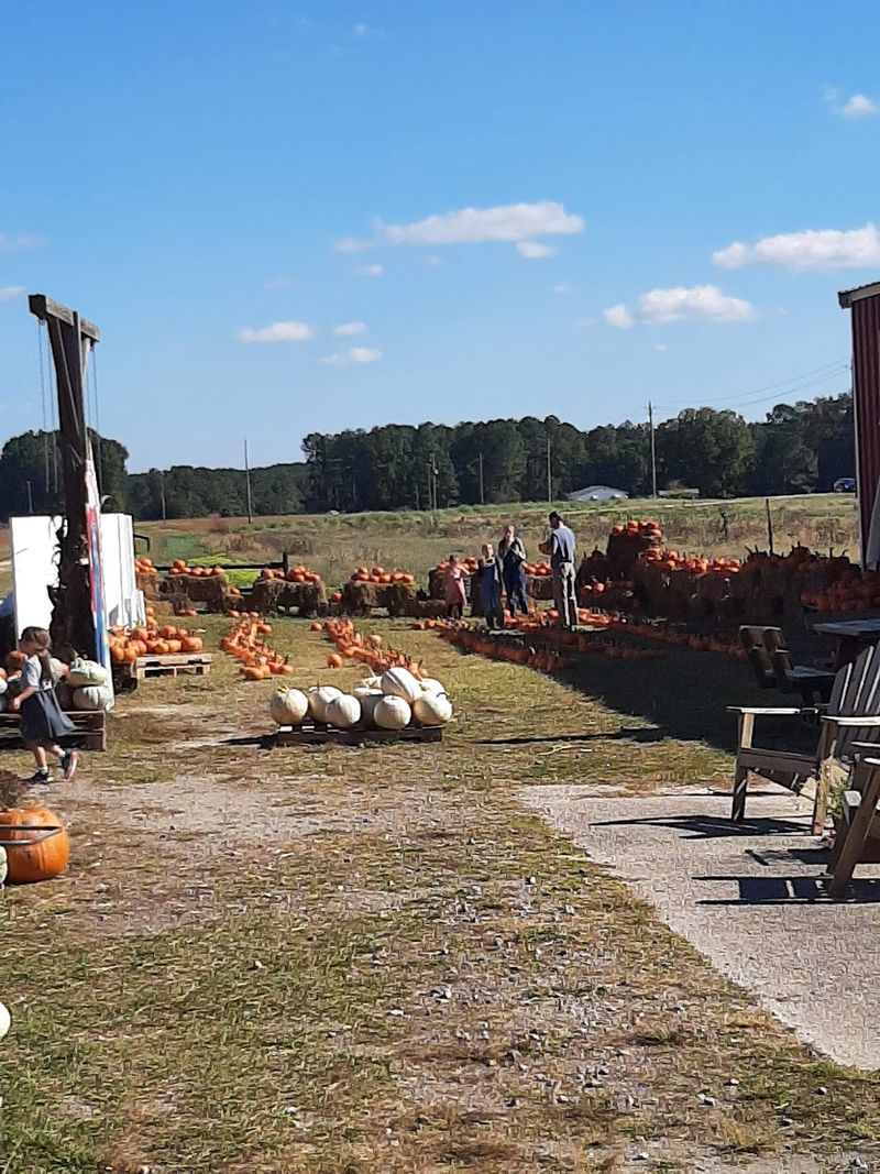 Vollmer Farm - Farm Market & Cafe - Bunn