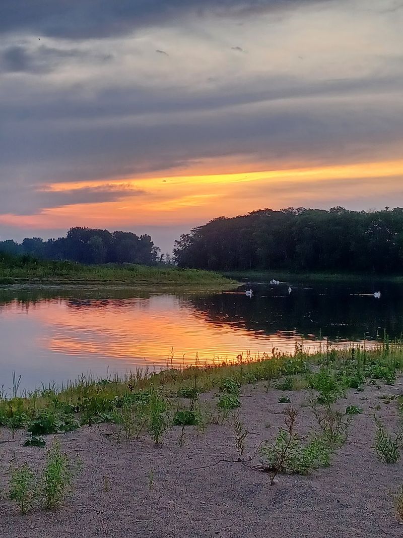 Rice Lake Wildlife Management Area in Leland, Worth County,