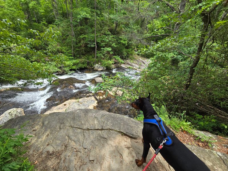 Panther Creek Falls Trail, Clarkesville, Habersham County