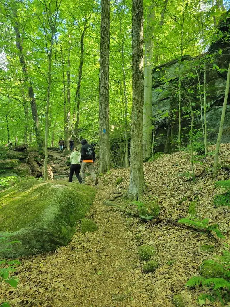 Nelson-Kennedy Ledges State Park - Garrettsville