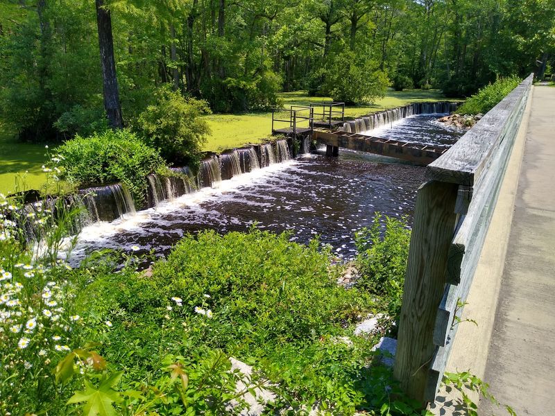 Coleman Trail in Gatesville, Gates County,