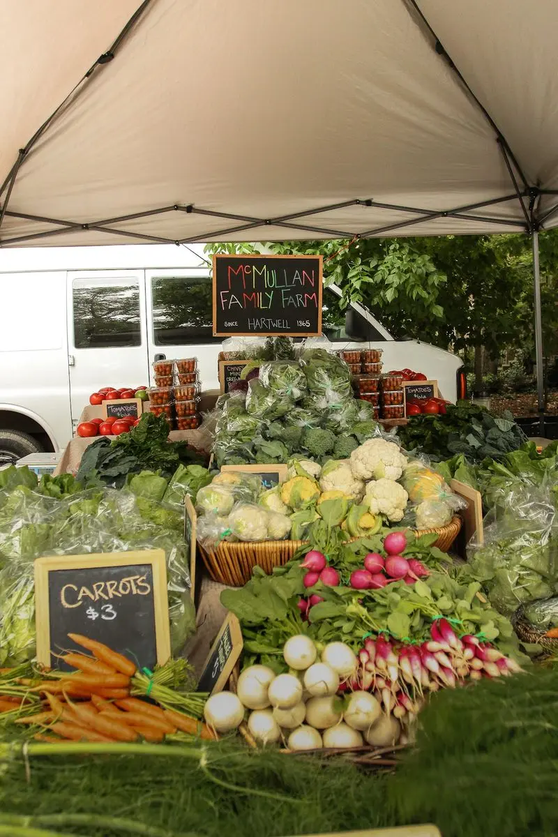 Fresh Georgia Produce Changes With the Seasons