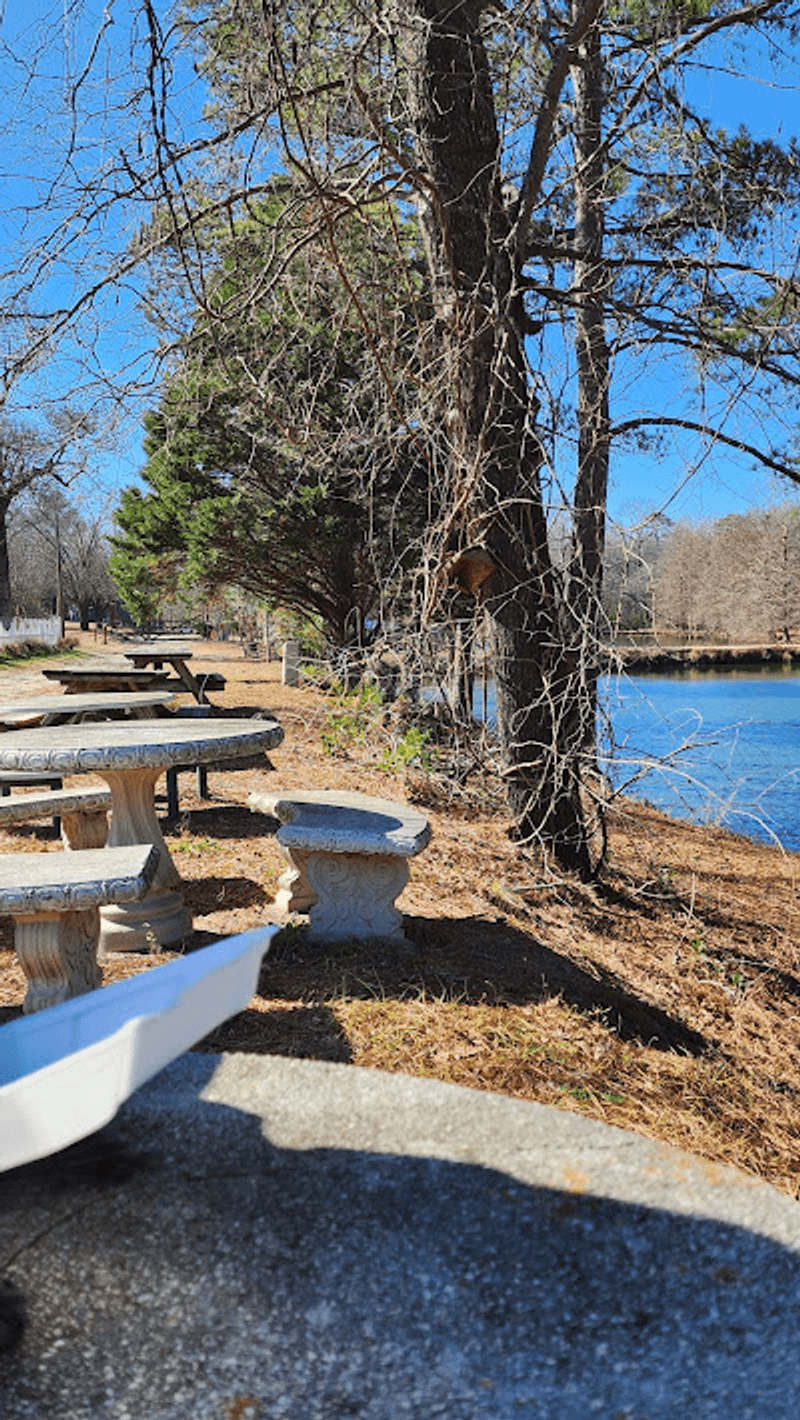 A Picnic Instead of a Dining Room