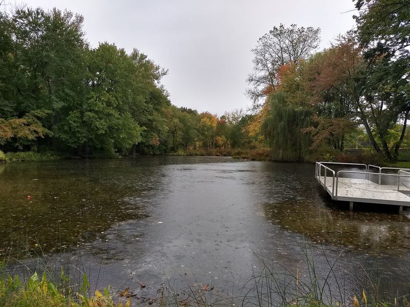 Trails, Pond Views, And A Breather Between Rallies