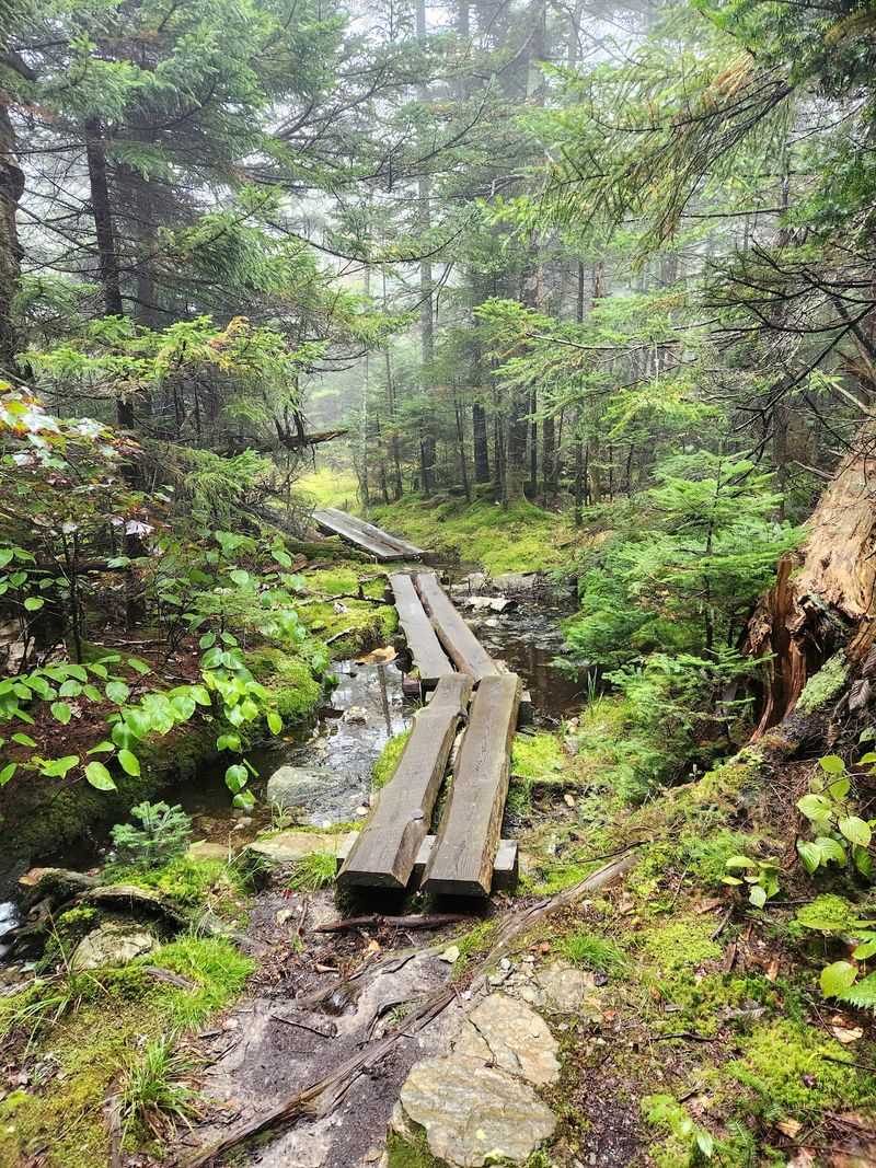 Mount Greylock Overlook Trail - Adams/Lanesborough