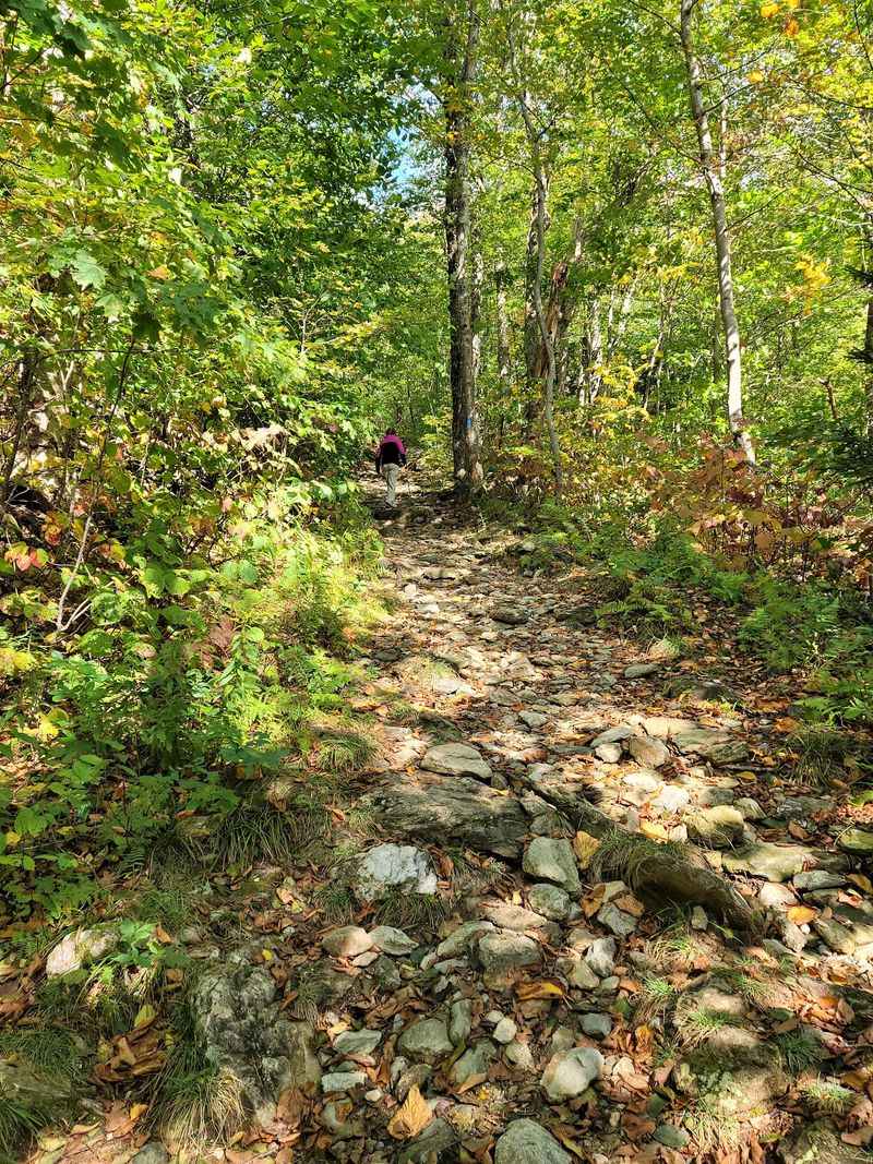 Mount Greylock via Cheshire Harbor Trail - Adams
