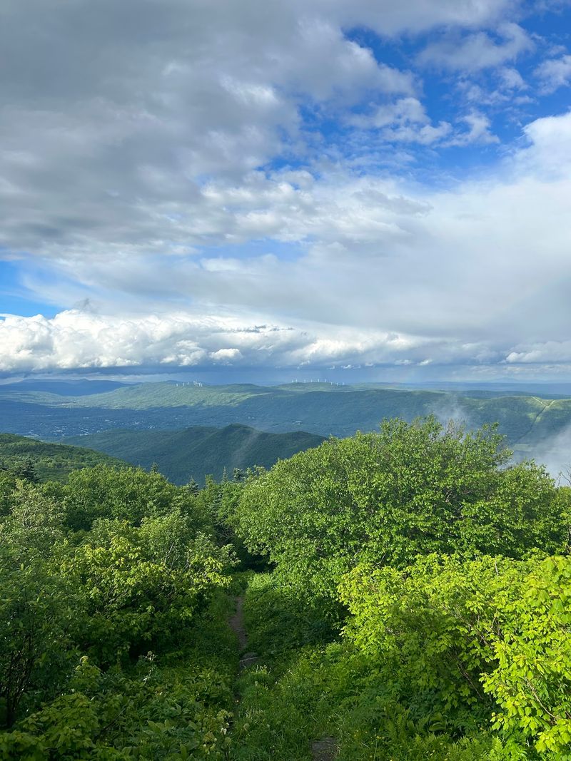 Mount Greylock via Thunderbolt Trail - Adams