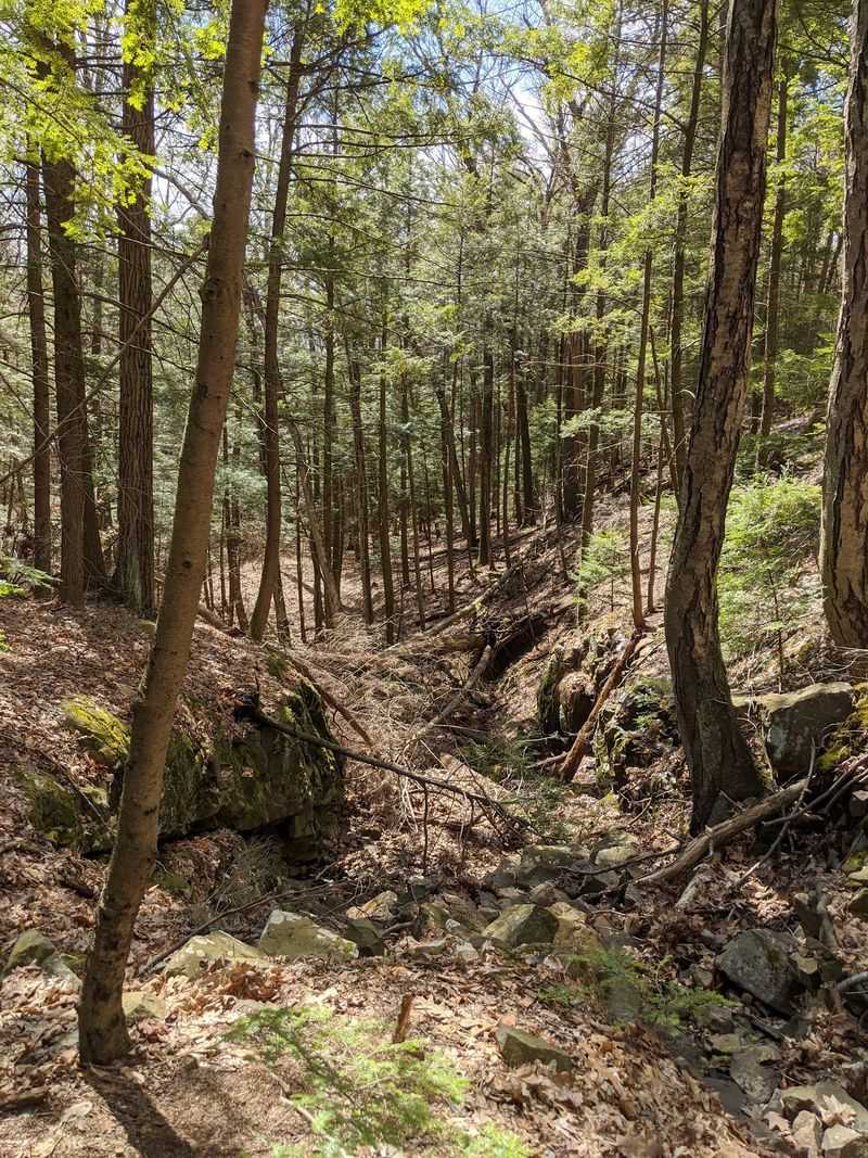 Mount Holyoke Summit Loop - South Hadley