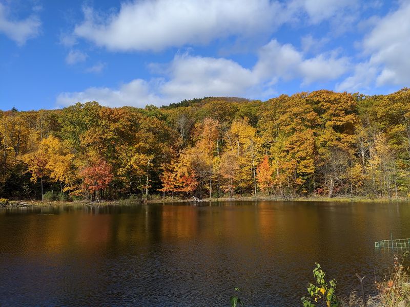 Wachusett Mountain State Reservation - Princeton