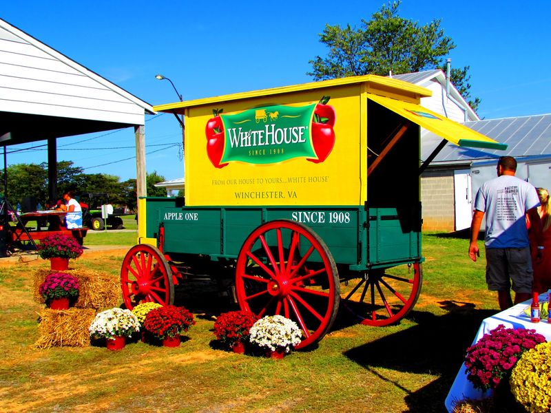 Shenandoah Valley Apple Harvest Festival - Winchester