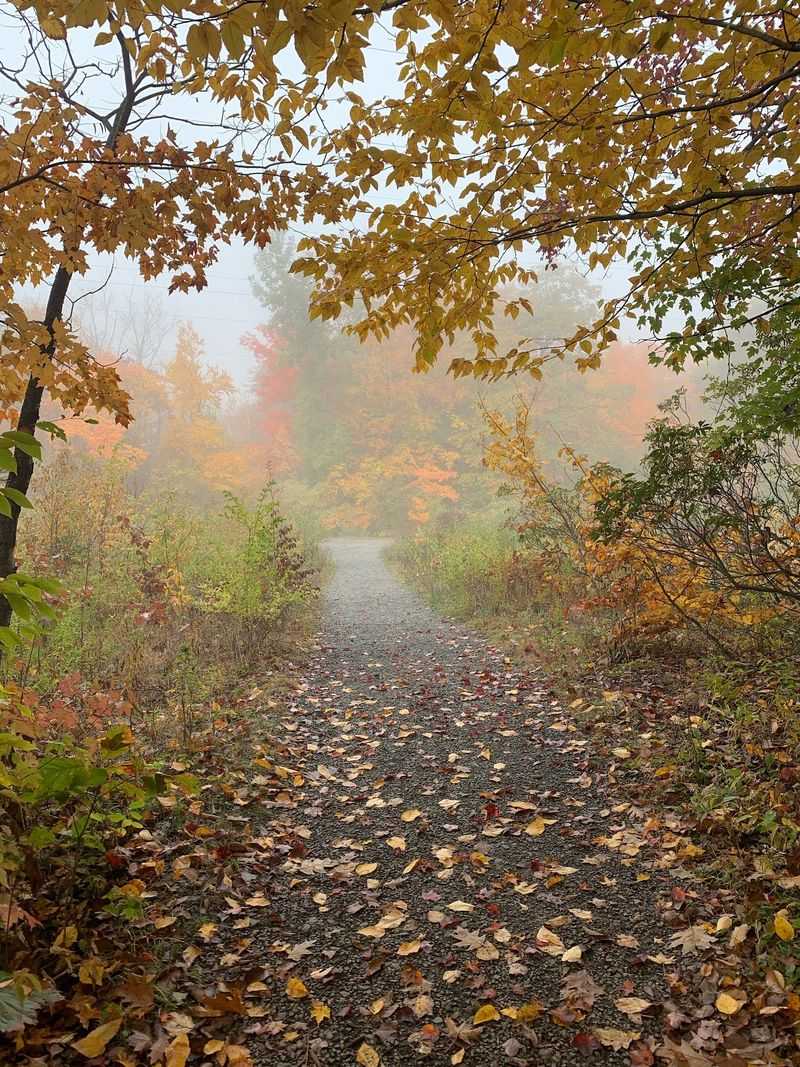 Mount Norwottuck - Amherst/Granby