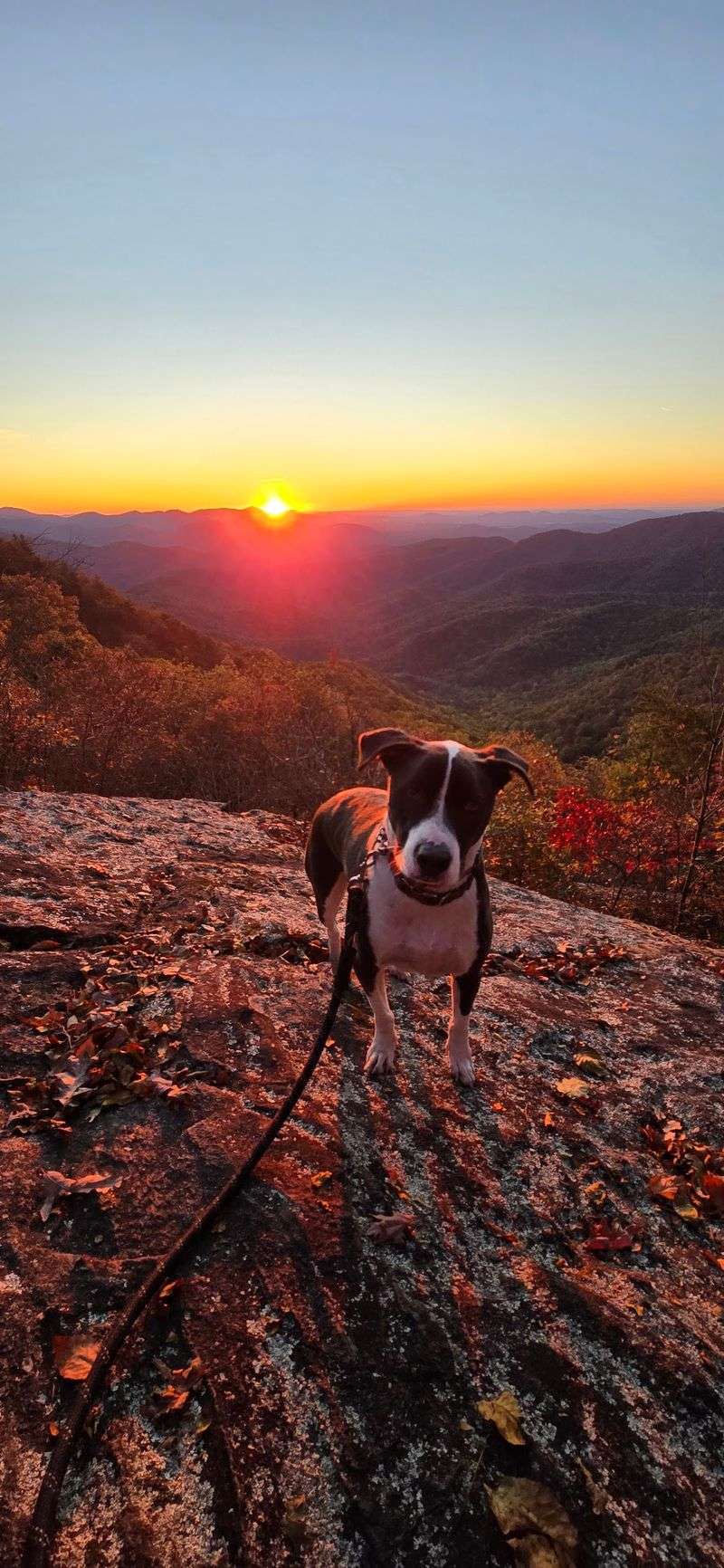 Preacher's Rock Trail, Dahlonega, Lumpkin County