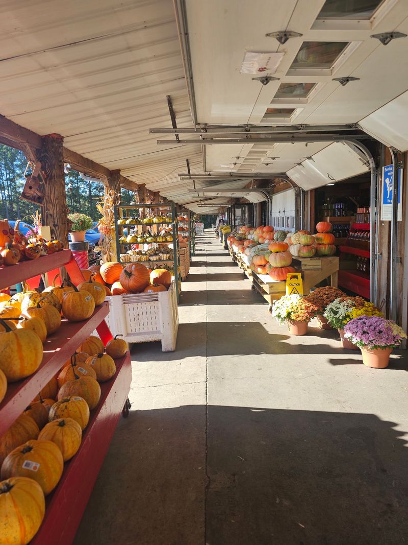 A Big Harvest Palette in Alto