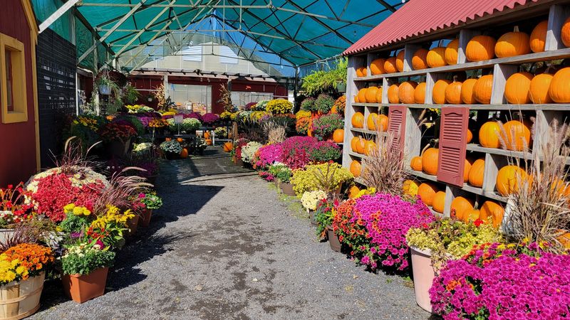 Country Barn Farm Market - Lancaster