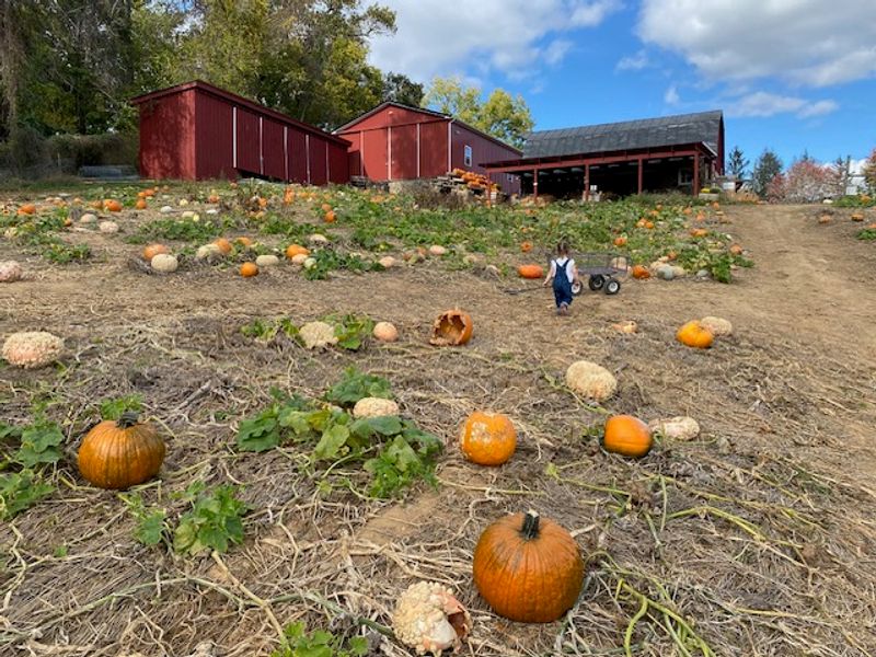 Wegmeyer Farms
