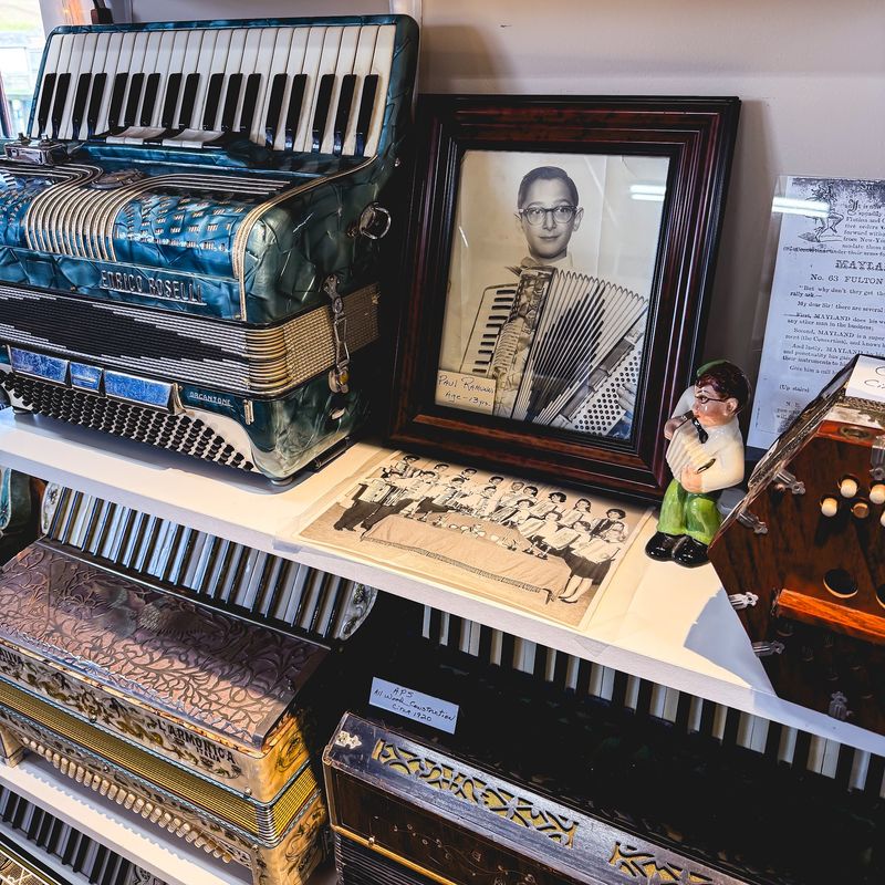 The Collector Who Came Back to Music