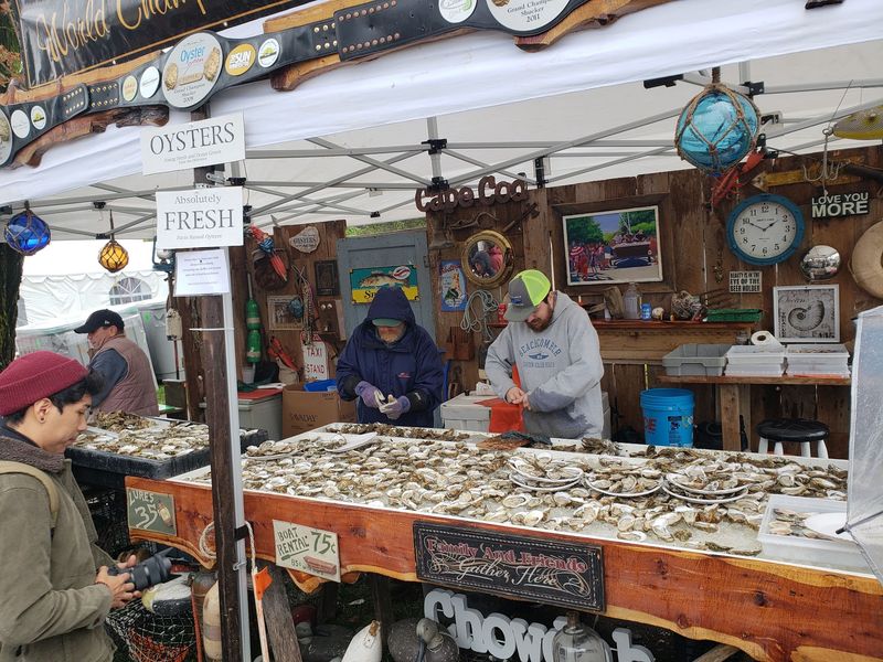 Learning the Life of an Oyster