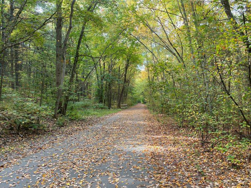 Assabet River Rail Trail - Maynard