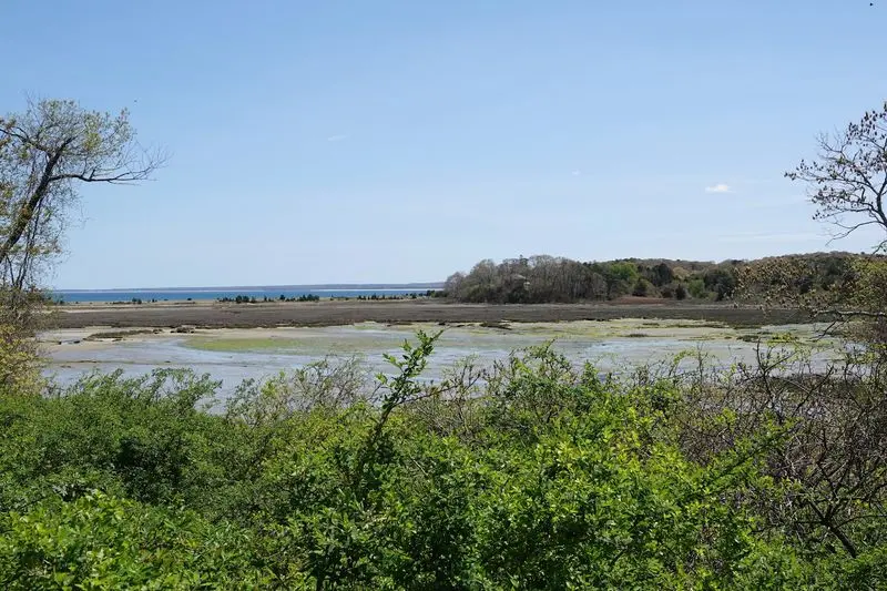 Ellisville Harbor State Park, Plymouth