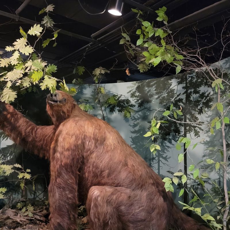 University of Iowa Museum of Natural History - Iowa City