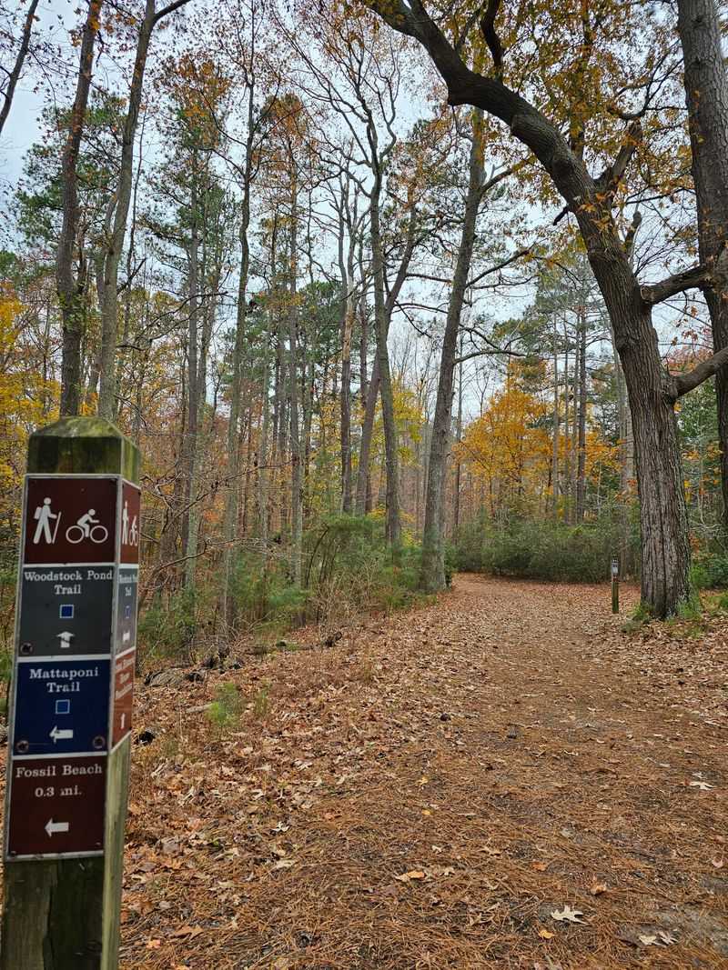 York River State Park