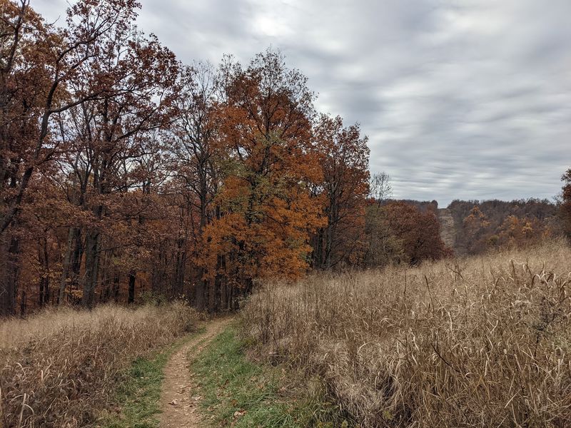 Sky Meadows State Park, Delaplane