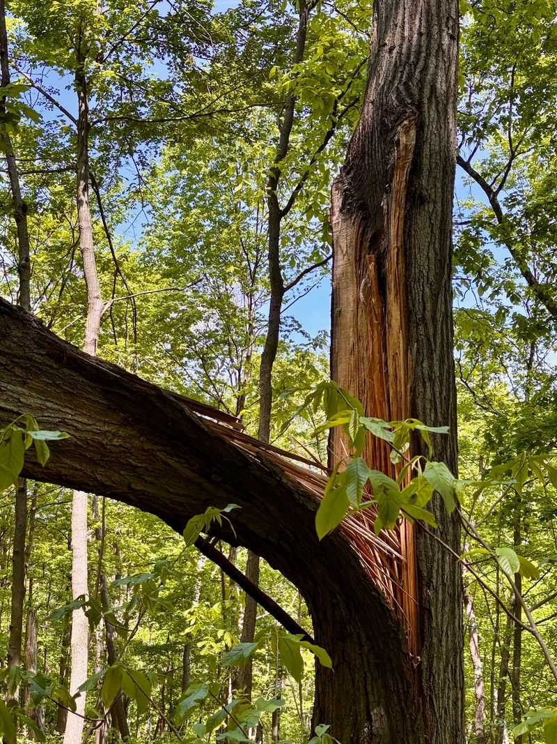 Great Seal State Park in Chillicothe, Ross County,