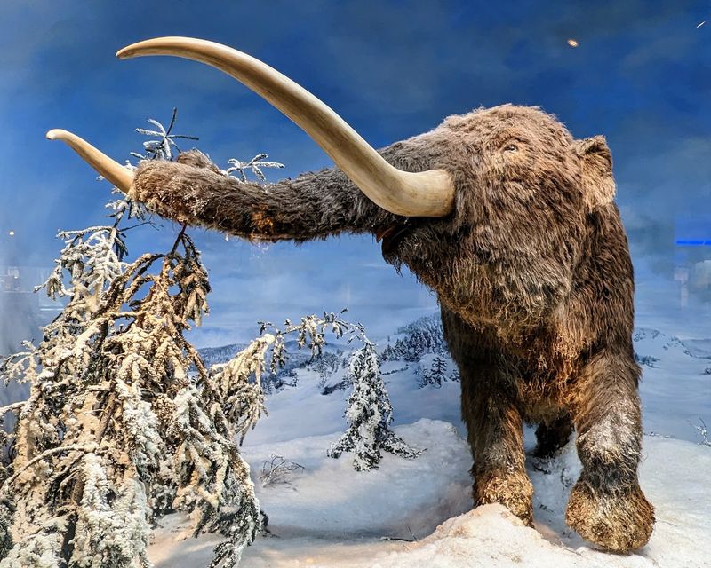 Mashantucket Pequot Museum & Research Center - Mashantucket