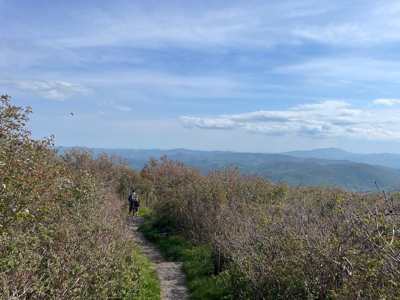 Elk Knob State Park - Todd