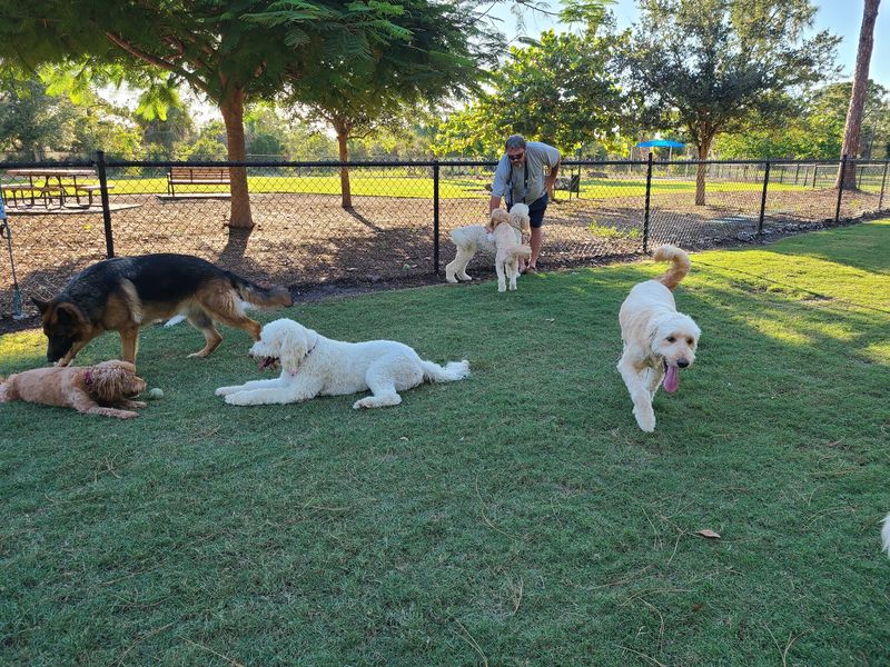 Bonita Springs Bark-N-Play Park, Bonita Springs, Lee County