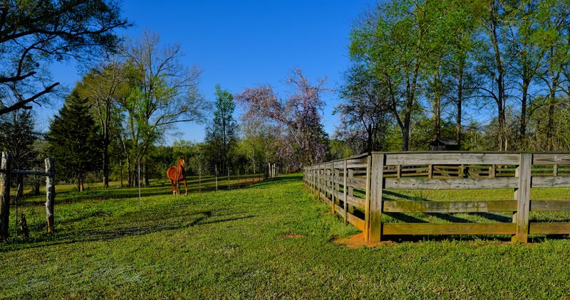Edgefield, Edgefield County