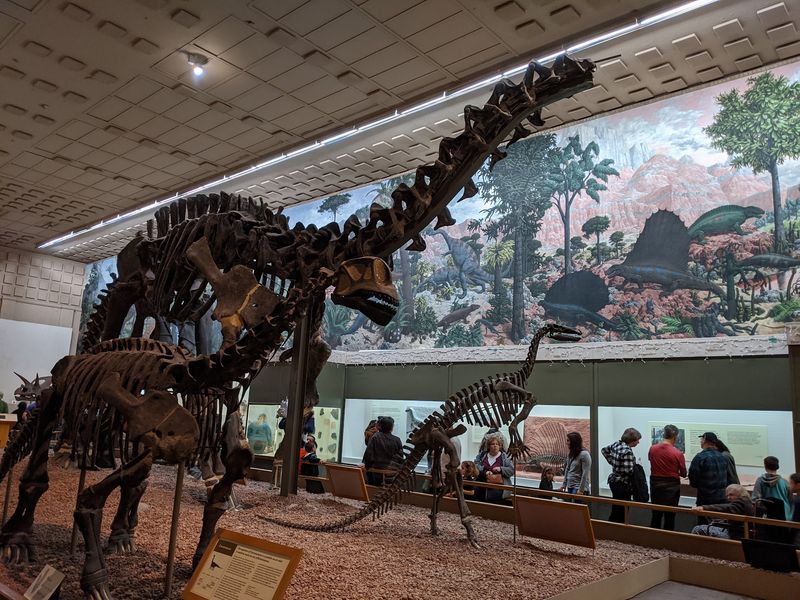 A Brontosaurus Steals the Spotlight in the Main Hall