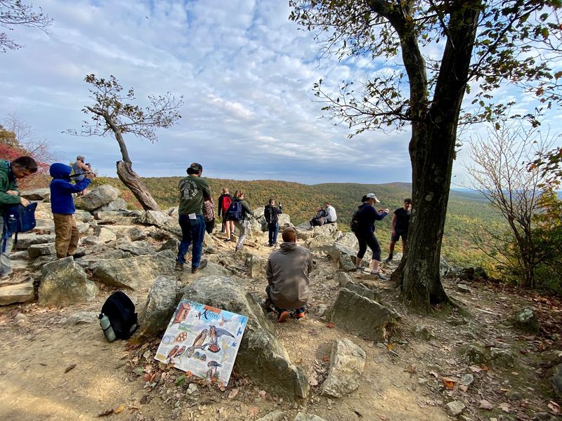 An Easier Way to Reach the View